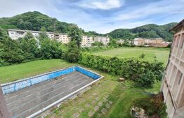 Proprietate de cazare, spatii comerciale, Lugoj