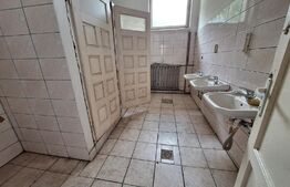 Proprietate de cazare, spatii comerciale, Lugoj