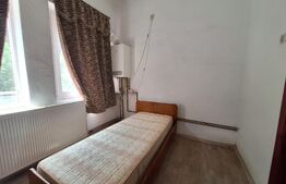 Proprietate de cazare, spatii comerciale, Lugoj