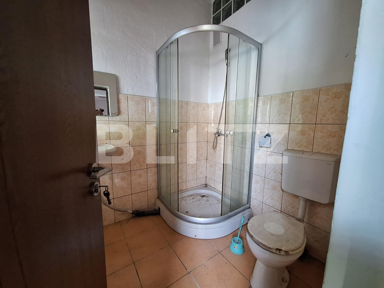 Spațiu comercial de vânzare Lugoj - 118826SVC | BLITZ Timișoara | Poza12