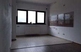 Ansamblu cu 4 apartamente+SAD, sub pret, Giroc