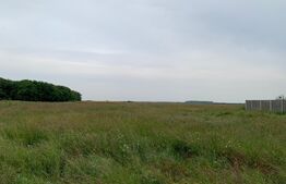 Teren intravilan, 672 mp, in Covaci