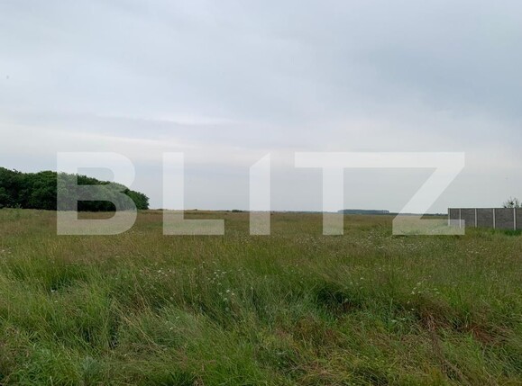 Teren de vânzare Covaci - 119074TV | BLITZ Timișoara | Poza4