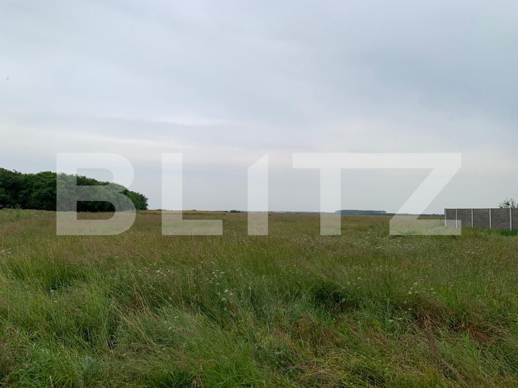 Teren de vânzare Covaci - 119074TV | BLITZ Timișoara | Poza4