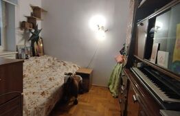 Casa individuala cu teren 508mp, zona Piata Doina