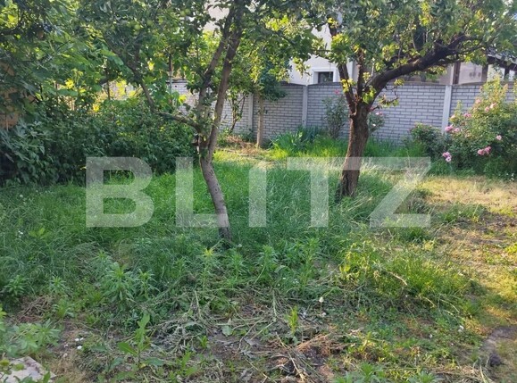 Casa de vânzare 6 camere P-ta Doina - 119208CV | BLITZ Timișoara | Poza3