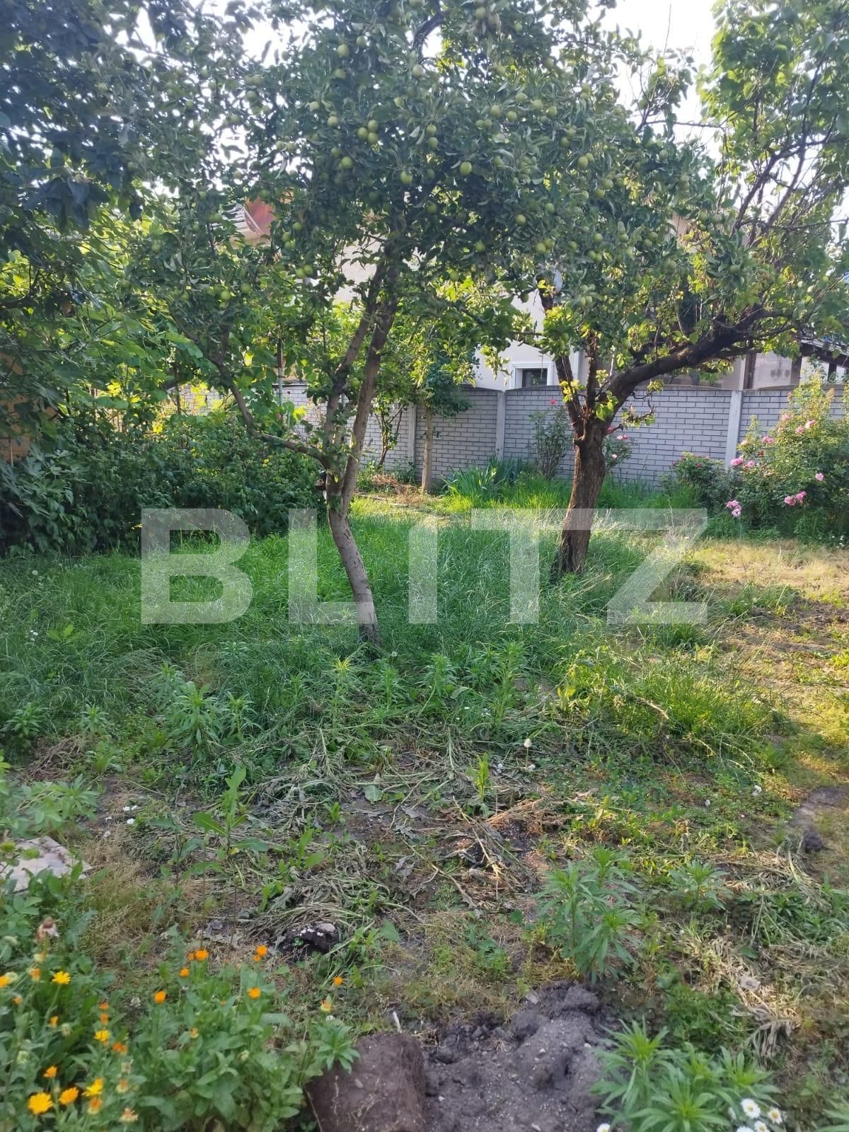 Casa de vânzare 6 camere P-ta Doina - 119208CV | BLITZ Timișoara | Poza3