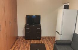 Garsoniera, 20mp, Lipovei 