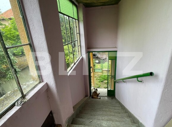 Casa de vânzare 5 camere Balcescu - 119395CV | BLITZ Timișoara | Poza7