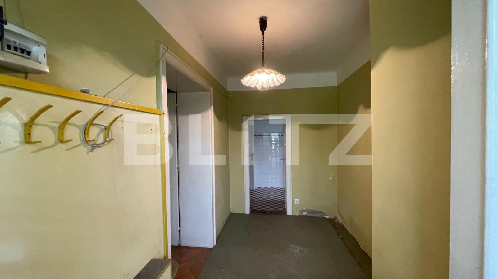 Casa de vânzare 5 camere Balcescu - 119395CV | BLITZ Timișoara | Poza5