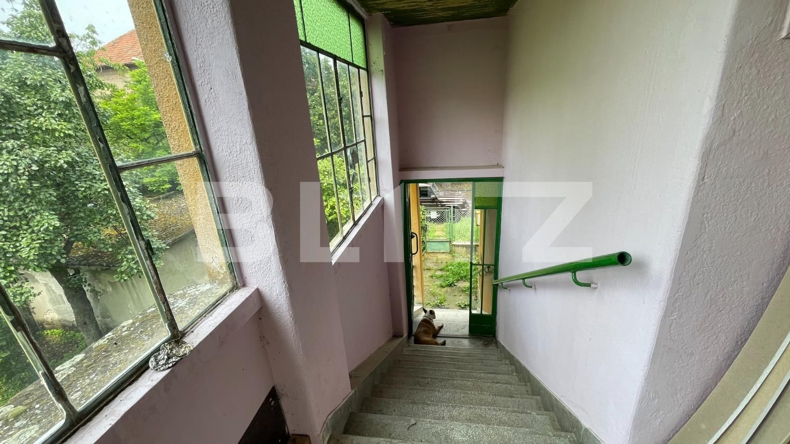 Casa de vânzare 5 camere Balcescu - 119395CV | BLITZ Timișoara | Poza7