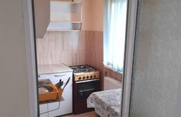 Garsoniera, 25 mp, Lunei