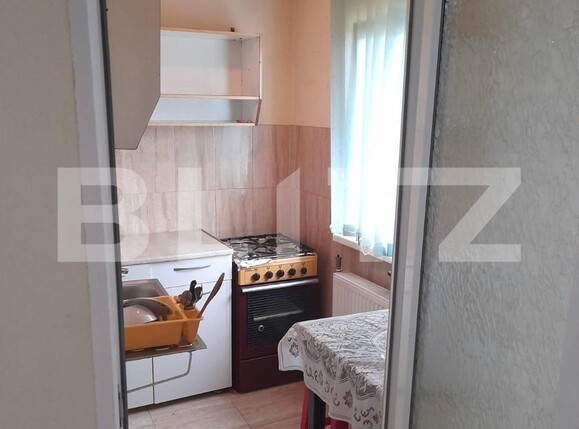 Garsonieră de închiriat Lunei - 119459AI | BLITZ Timișoara | Poza2