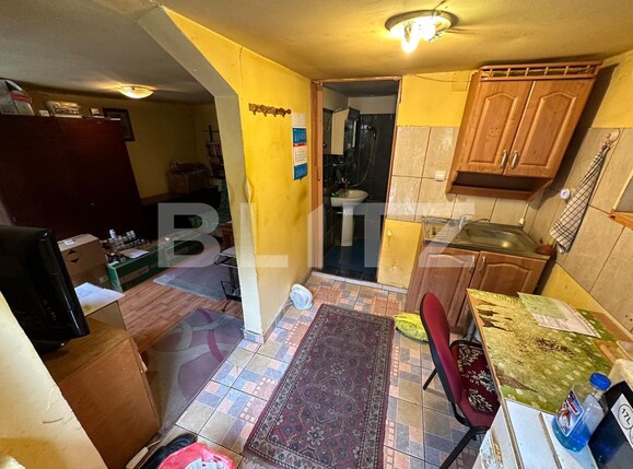 Casa de vânzare 3 camere Sagului - 119528CV | BLITZ Timișoara | Poza3