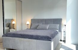 Aparatment 3 camere, 120 mp, Dacia