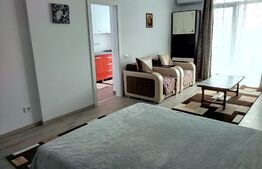 Apartament cu o camera, 42 mp, bloc nou, zona Take Ionescu 