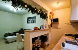 Apartament 2 camere,  40 mp, curte comuna, Iosefin