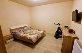 Apartament 2 camere,  40 mp, curte comuna, Iosefin