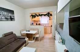 Apartament 2 camere,  40 mp, curte comuna, Iosefin