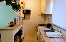 Apartament 2 camere,  40 mp, curte comuna, Iosefin