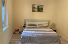  Doua case, 6 camere, 184mp, Blascovici