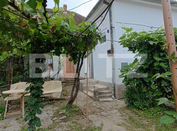 Casa de vânzare 3 camere Semicentral - 119817CV | BLITZ Timișoara | Poza1