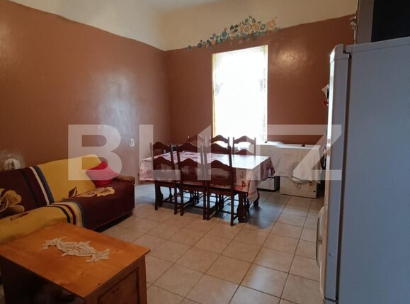 Casa de vânzare 3 camere Semicentral - 119817CV | BLITZ Timișoara | Poza9