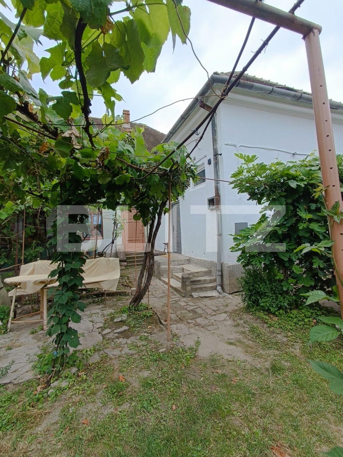 Casa de vânzare 3 camere Semicentral - 119817CV | BLITZ Timișoara | Poza1