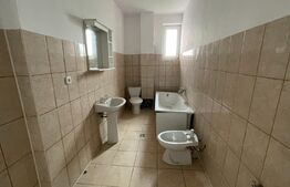 Casa 14 camere, 500mp, Blascovici-Mehala