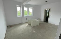 Casa 14 camere, 500mp, Blascovici-Mehala