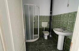 Casa 14 camere, 500mp, Blascovici-Mehala