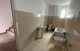 Casa 14 camere, 500mp, Blascovici-Mehala