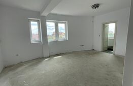 Casa 14 camere, 500mp, Blascovici-Mehala