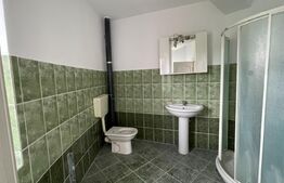 Casa 14 camere, 500mp, Blascovici-Mehala