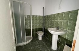 Casa 14 camere, 500mp, Blascovici-Mehala