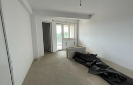 Casa 14 camere, 500mp, Blascovici-Mehala