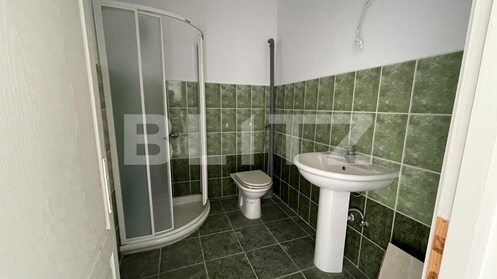 Casa de vânzare 13 camere Mehala - 119890CV | BLITZ Timișoara | Poza10