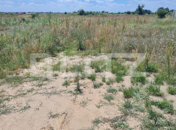 Teren de vânzare Urseni - 119931TV | BLITZ Timișoara | Poza1