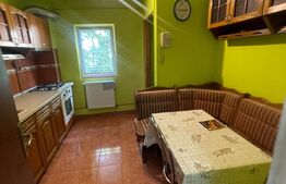 Apartament decomandat, garaj, boxa, 3 camere, 70 mp, Calea Șagului