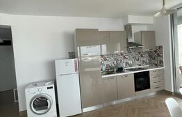 Apartament cu 2 camere, 70 mp, zona Take Ionescu