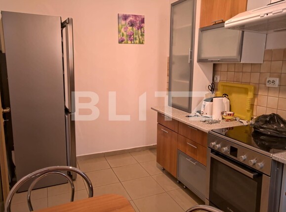 Garsonieră de închiriat Sagului - 120195AI | BLITZ Timișoara | Poza4