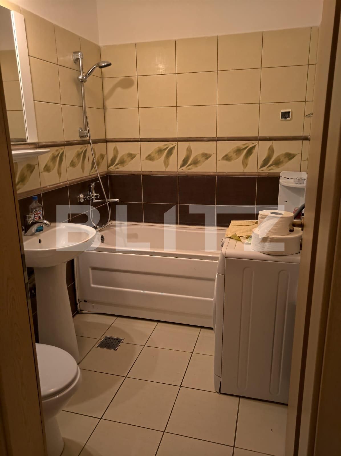 Garsonieră de închiriat Sagului - 120195AI | BLITZ Timișoara | Poza3