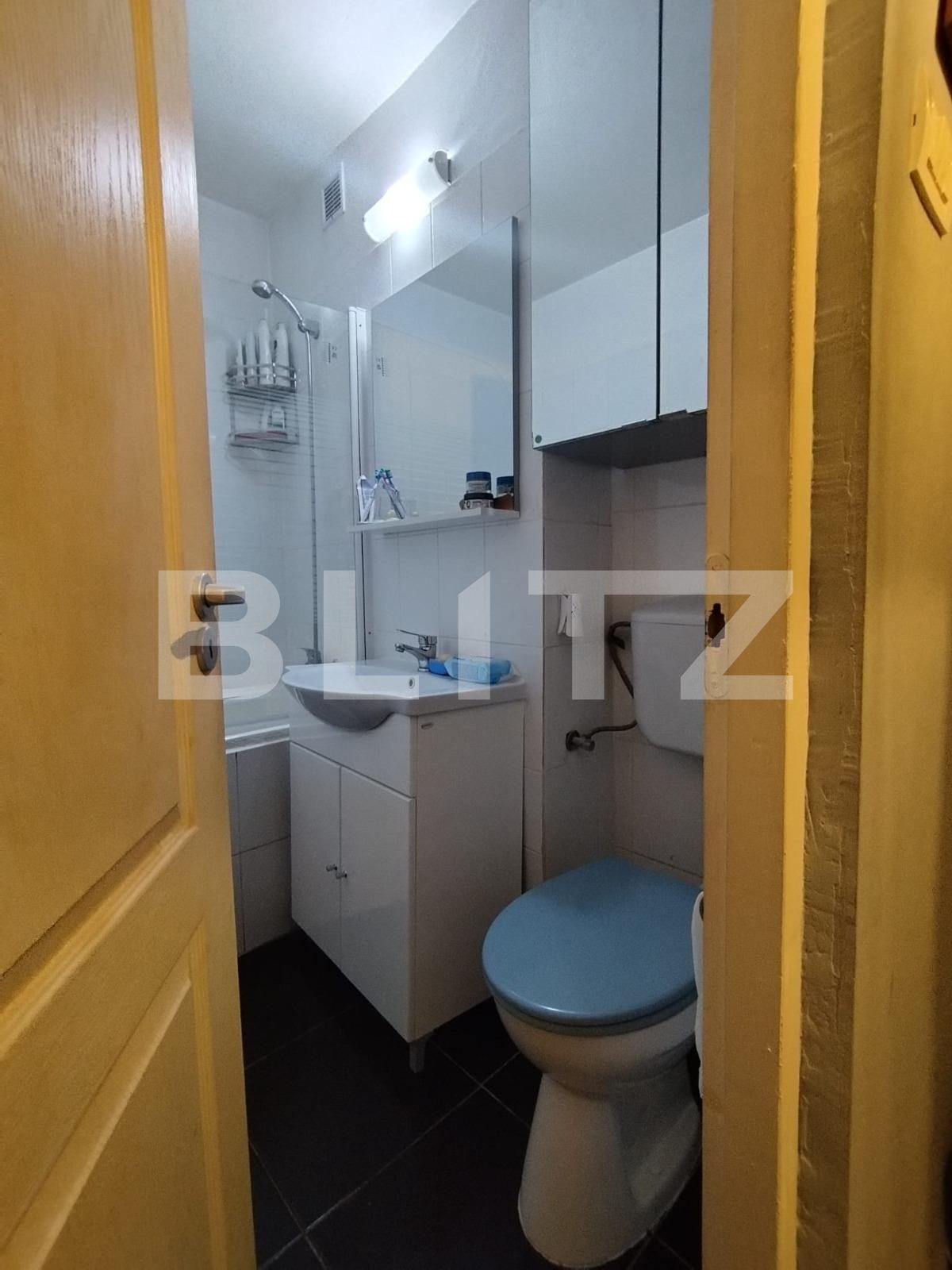 Garsonieră de vânzare Take Ionescu - 120229AV | BLITZ Timișoara | Poza7