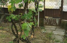 Casa individuala 3 camere, 60mp, teren 994 mp, Braytim