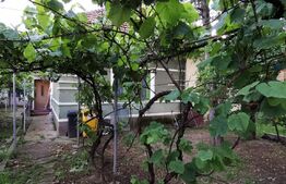 Casa individuala 3 camere, 60mp, teren 994 mp, Braytim