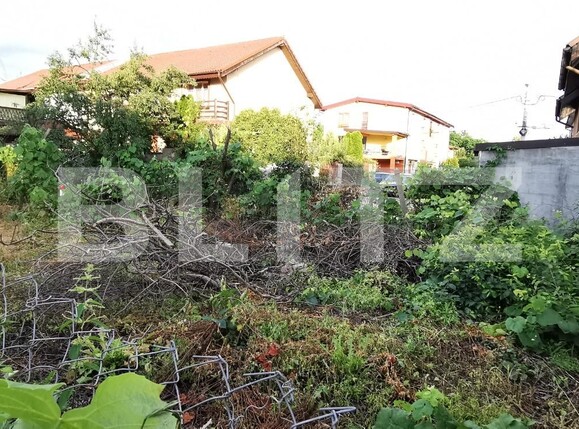 Casa de vânzare 3 camere Braytim - 120308CV | BLITZ Timișoara | Poza4