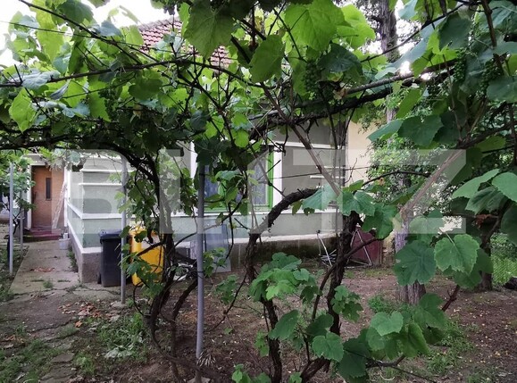 Casa de vânzare 3 camere Braytim - 120308CV | BLITZ Timișoara | Poza2