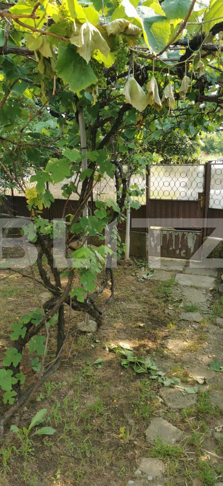 Casa de vânzare 3 camere Braytim - 120308CV | BLITZ Timișoara | Poza1