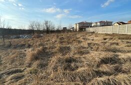 Teren intravilan 886 mp, Dumbravita