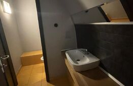 Spatiu comercial, suprafata 200 mp, Ultracentral